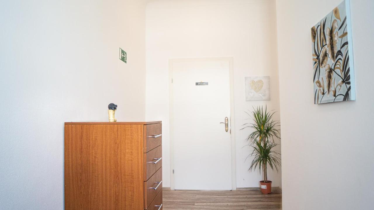 Spacious Shared Apartment Schoenbrunn Вена Экстерьер фото